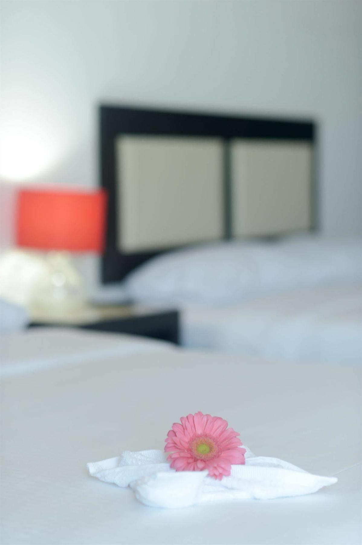 Sunrise 42 Suites Hotel Плая дел Кармен Екстериор снимка